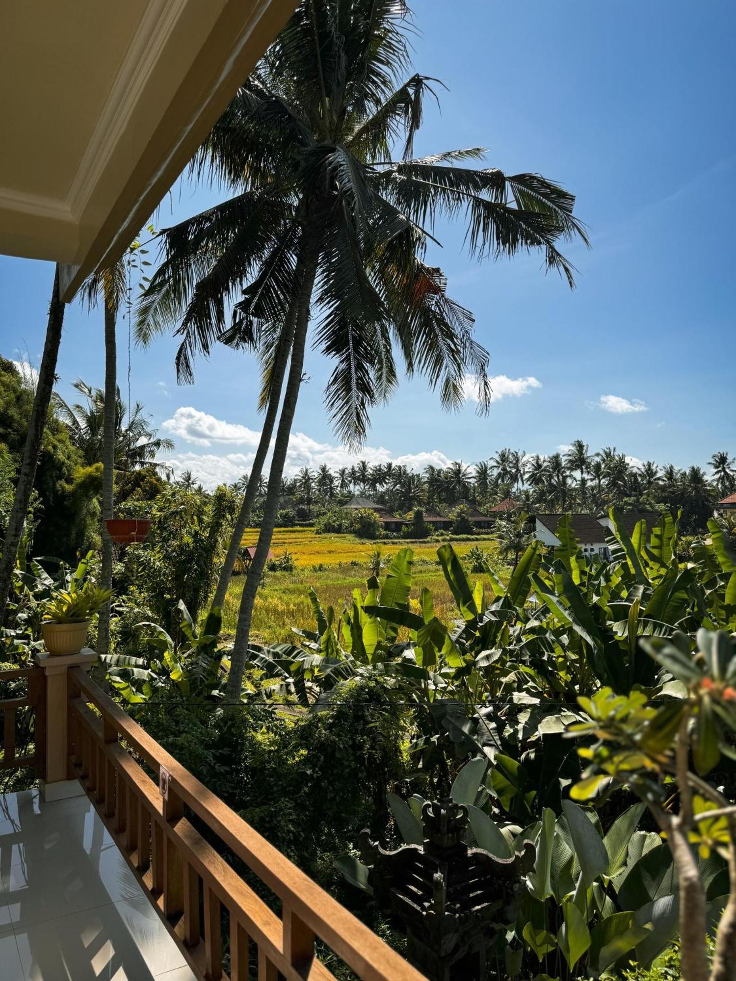 Nirwa Karma 2* Ubud